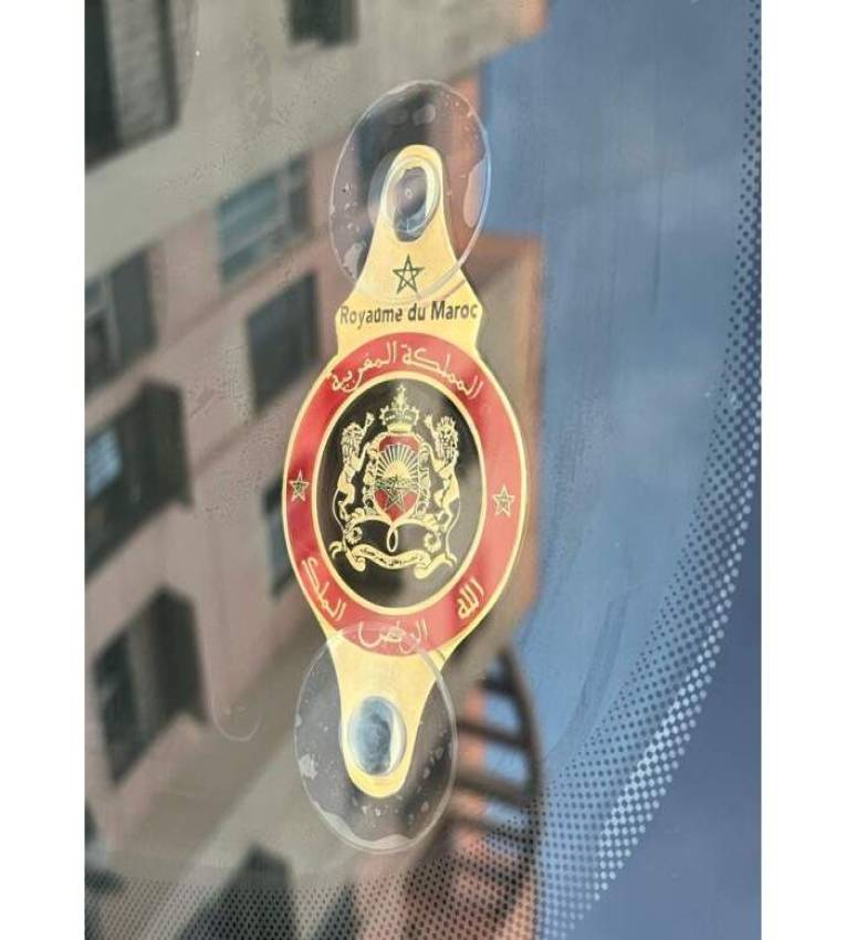 Lot de 10 crochets à ventouse en plastique transparent de 30 mm pour les macarons de voiture, cuisine, mur, fenêtre, porte en verre, salle de bain, douche, avec crochets métalliques